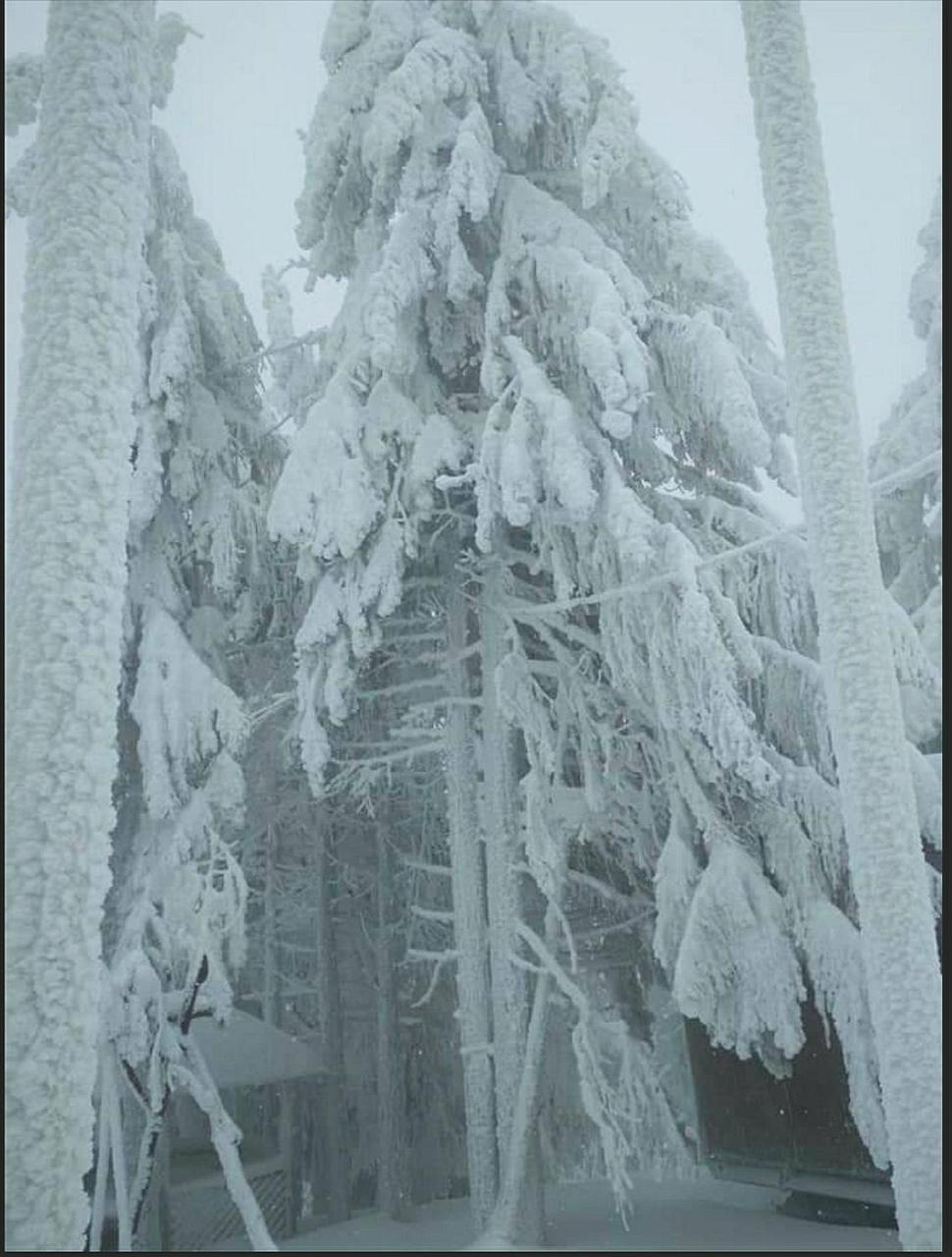 "Різьбярська Садиба" Slawske Exterior foto