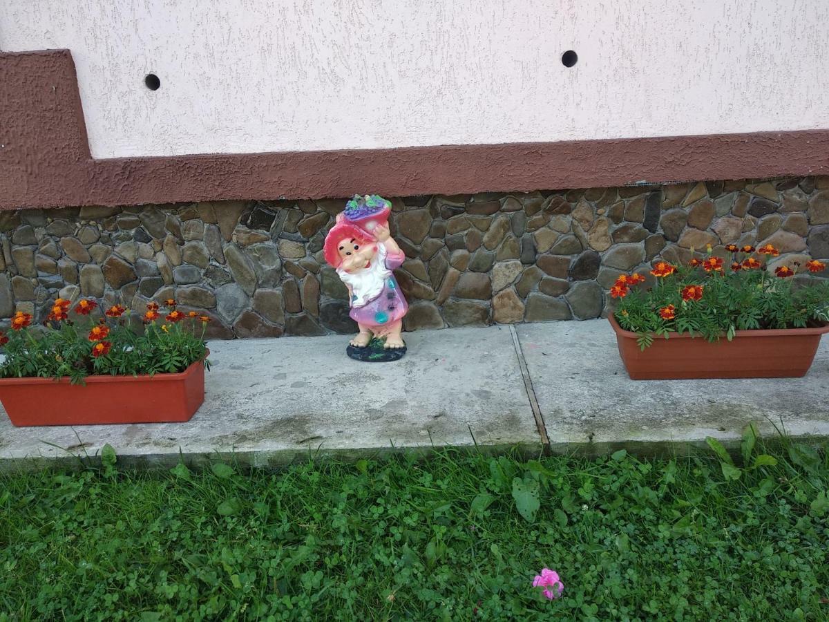 "Різьбярська Садиба" Slawske Exterior foto